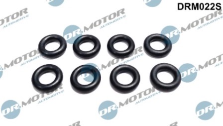 LIZARTE DRM022S