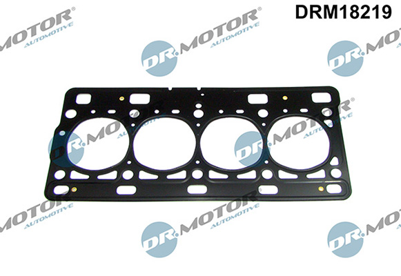 LIZARTE DRM18219
