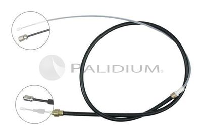 ASHUKI BY PALIDIUM PAL3-1561